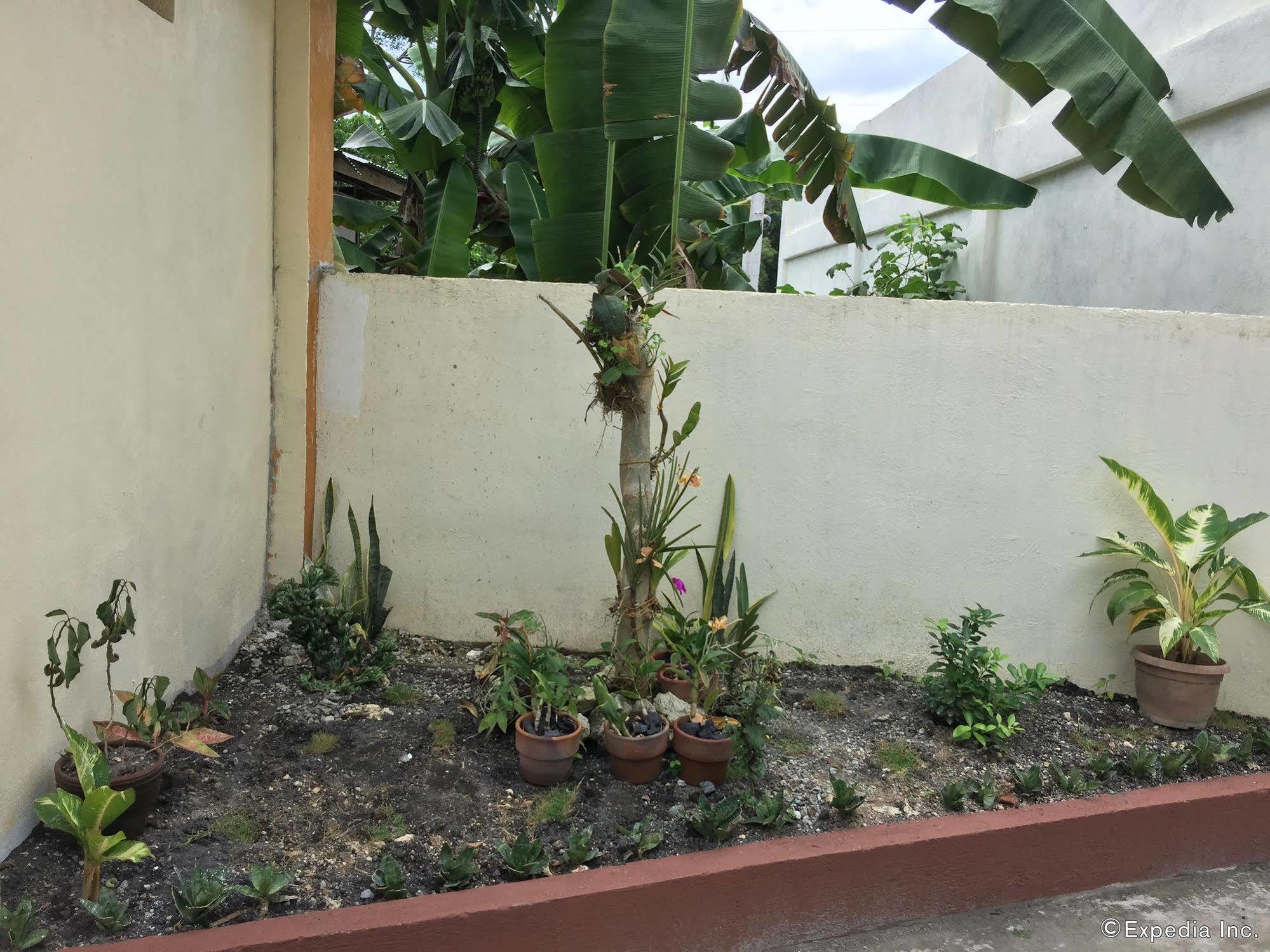 Reddoorz Plus @ Libaong Panglao Bohol Exterior photo